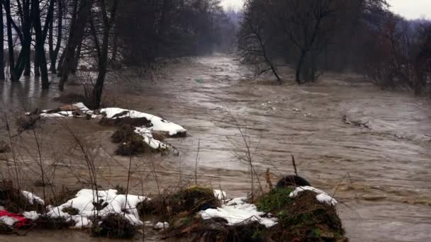 Grote Rivier Overstroming Smeltende Sneeuw — Stockvideo