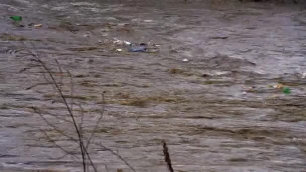 Large Річкових Повеней Після Танення Снігу — стокове відео