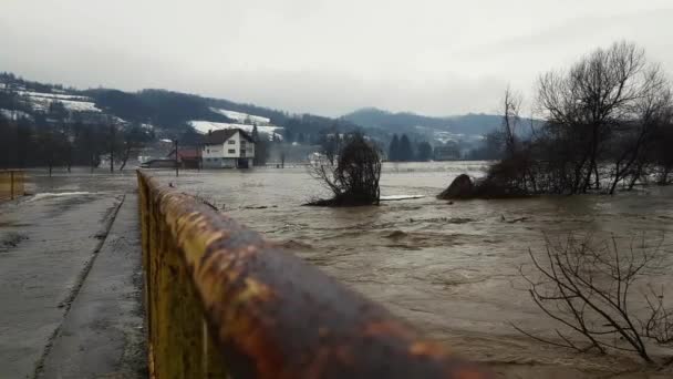Μεγάλο River Πλημμύρας Μετά Τήξη Χιονιού — Αρχείο Βίντεο