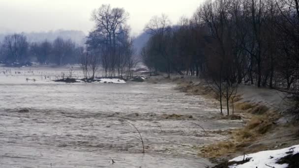 Grande Fiume Alluvione Dopo Scioglimento Della Neve — Video Stock