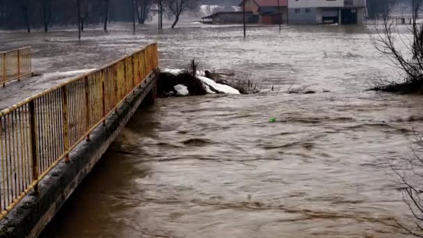 Большой Потоп Реки После Таяния Снега — стоковое видео