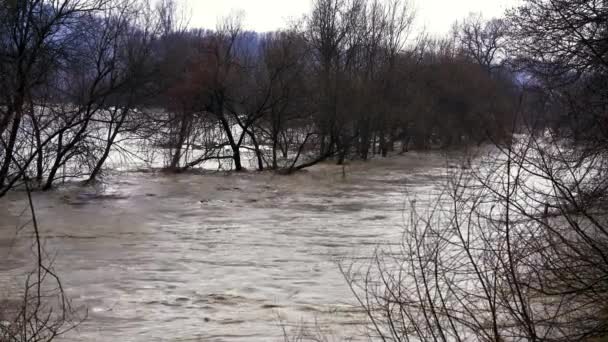 Gran Inundación Del Río Después Derretir Nieve — Vídeo de stock