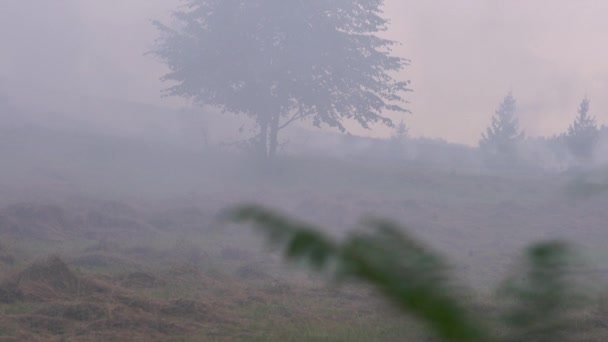 Mann Entzündet Feuer Auf Wiese — Stockvideo