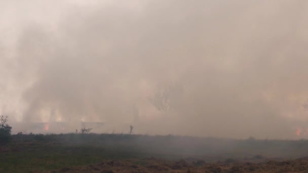 L'homme allume le feu dans la prairie 