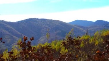 Güçlü sonbahar rüzgarında peyzaj