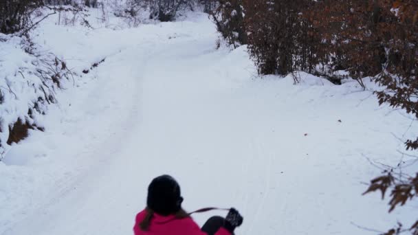 Luge Pour Enfants Sur Neige — Video