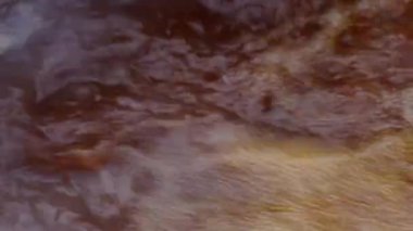 Elma Jam-Cooking yapma eski yolu