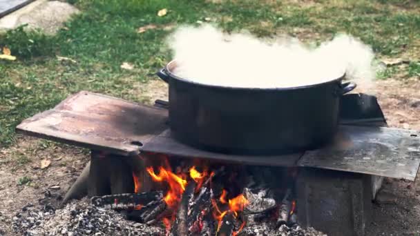 Oude Manier Van Het Maken Van Apple Jam Kampvuur — Stockvideo