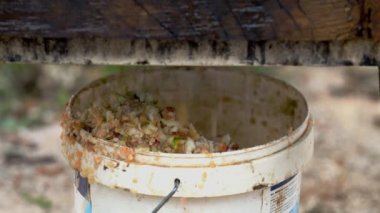 Elma Jam-crumble yapma eski yolu