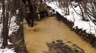 Oduncu sürücü at arabası çamurlu orman yolu 