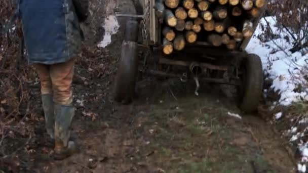 木こりは泥だらけの林道で馬カート ツリー全体をドライブします — ストック動画