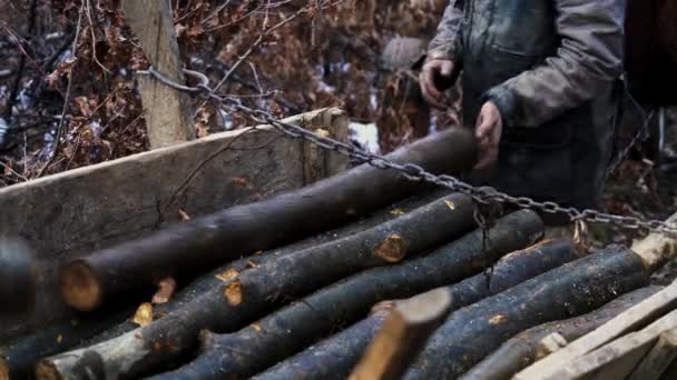 Lumberjacks Carregando Árvores Carrinho Cavalo — Vídeo de Stock