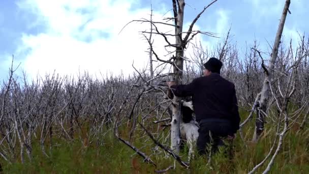Hombre Toca Bosque Destruido Detalle — Vídeo de stock