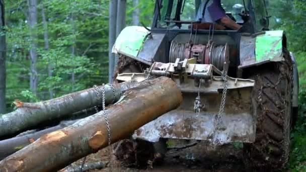 Trekker Rijdt Gevelde Boom Bospad — Stockvideo