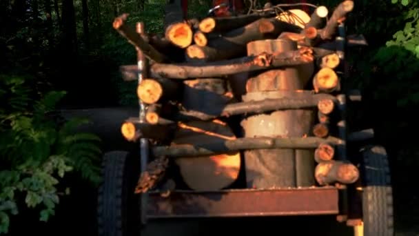 Holz Mit Traktor Transportieren — Stockvideo