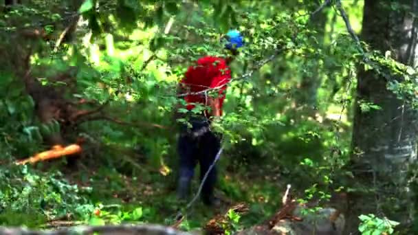 Travailleur Conduit Câble Pour Tirer Les Arbres — Video