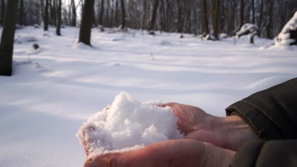 Homem Faz Bola Neve Com Mãos — Vídeo de Stock