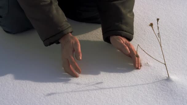 Homme Faire Boule Neige Avec Les Mains — Video