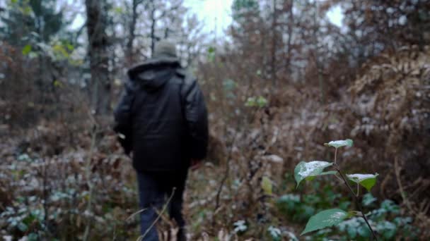 Άνθρωπος Πηγαίνει Δίπλα Στο Πρώτο Χιόνι Στα Φύλλα Στο Δάσος — Αρχείο Βίντεο