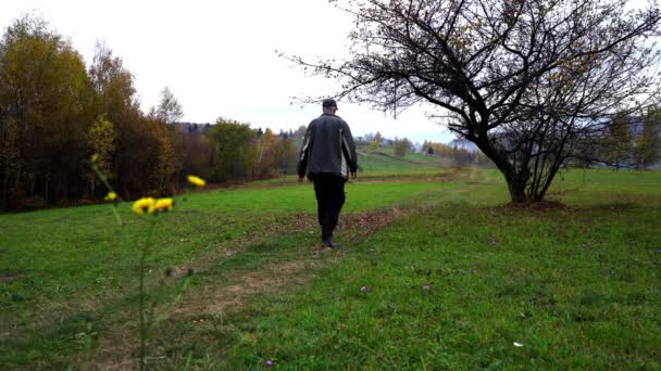 Mann Läuft Durch Feldwiese Herbstlandschaft — Stockvideo