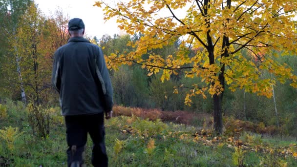 Mann Unter Dem Herbstbaum — Stockvideo