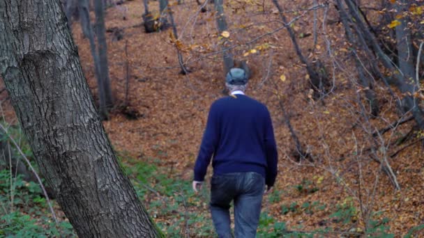 Homem Caminhando Pela Floresta Folhas Outono Cheias — Vídeo de Stock