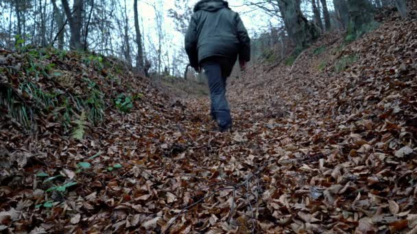 Hombre Caminando Través Del Bosque Hojas Otoño — Vídeos de Stock