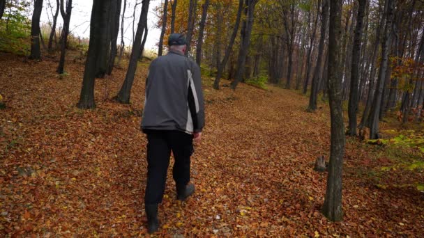 Чоловік Ходить Лісом Повного Осіннього Листя — стокове відео