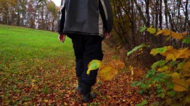 Ormanlar ve dokunaklı sonbahar şube yanındaki adam girer