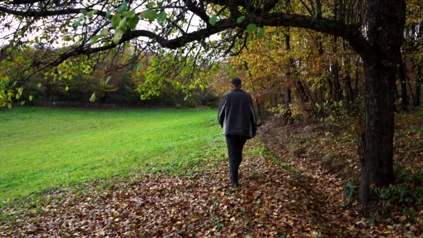 Man Walks Next Autumn Forest — Stock Video