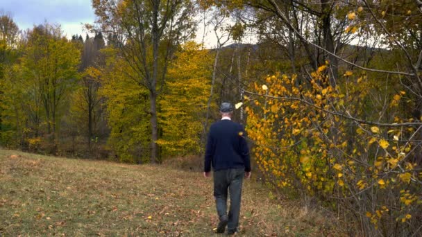 Man Loopt Naast Herfst Bos — Stockvideo