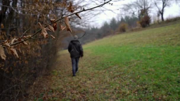 Hombre Camina Junto Bosque Otoño — Vídeo de stock