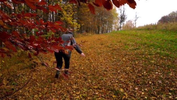 Mannen Promenad Bredvid Skogen Och Trycka Höstlöv — Stockvideo