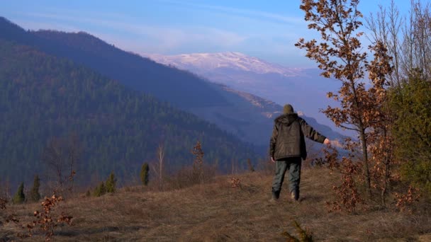 Man Titta Träd Och Går Distansera — Stockvideo