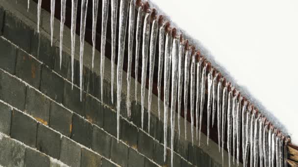 Χειμώνα Icicles Στη Στέγη — Αρχείο Βίντεο