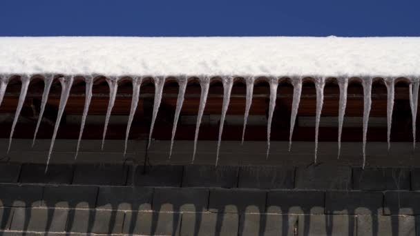 Χειμώνα Icicles Στη Στέγη — Αρχείο Βίντεο