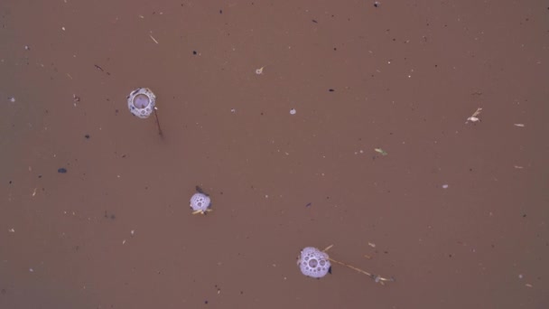 Bulles sur la flaque après la pluie 