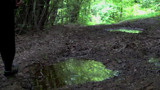 Mann Geht Den Pfützenspiegel — Stockvideo