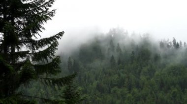 Sis Dağı tarafından yavaş yavaş hareket eder