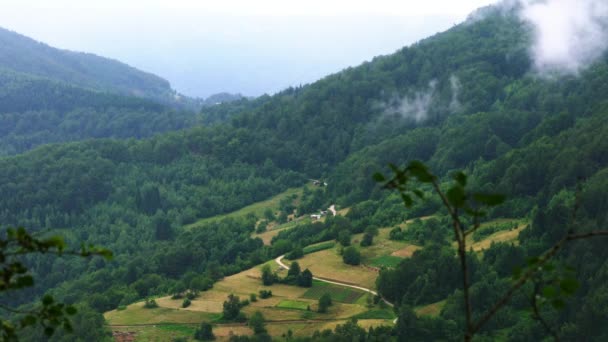 Schneller Nebel Der Landschaft — Stockvideo