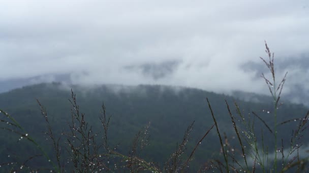 Nebel Zieht Langsam Berg Vorbei — Stockvideo