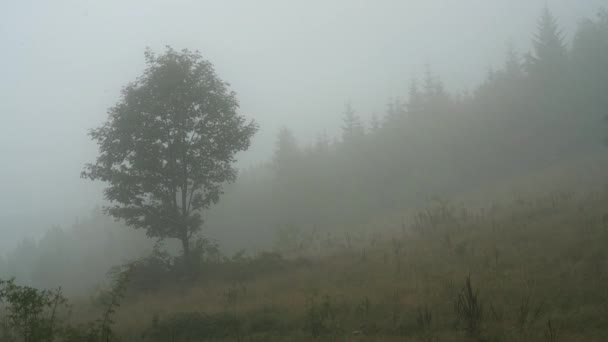Le brouillard se déplace lentement par la montagne 