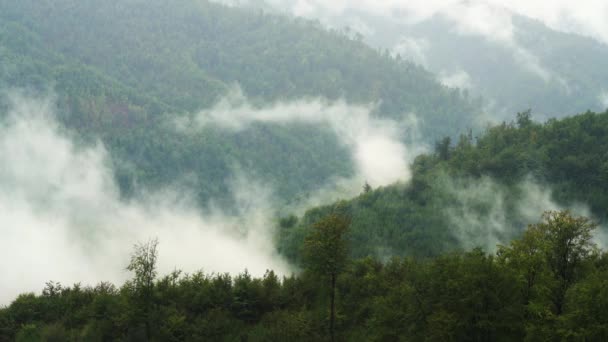 Nebbia Muove Lentamente Montagna — Video Stock