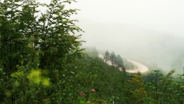 Niebla Mueve Lentamente Por Montaña — Vídeos de Stock