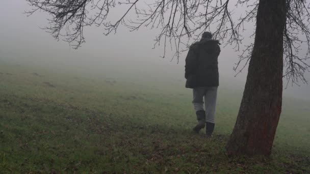 男が木に触れるし 密な霧の中に行く — ストック動画
