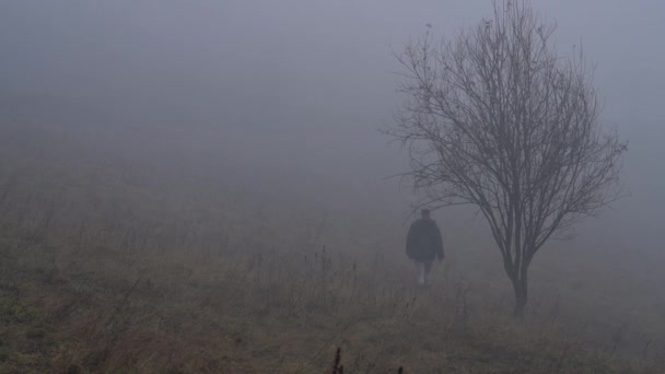 Hombre Toca Árbol Entra Una Densa Niebla — Vídeo de stock