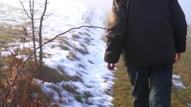 男子触摸黑莓树 进入雾 — 图库视频影像
