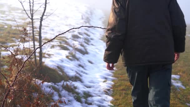 Hombre Tocando Árbol Mora Entra Niebla — Vídeo de stock