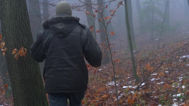 雪に覆われた森を歩く男 霧の中に行く — ストック動画