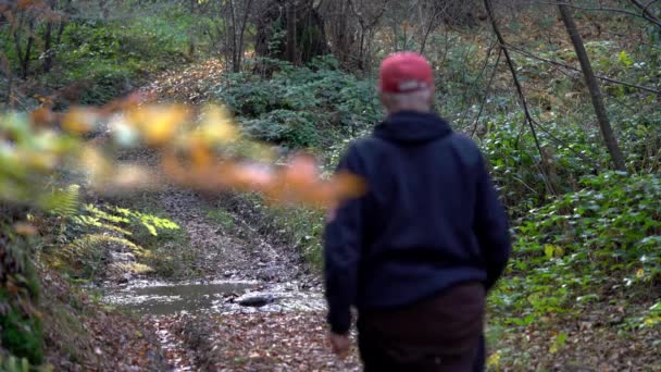 Человек Пересекает Ручей Лесу — стоковое видео